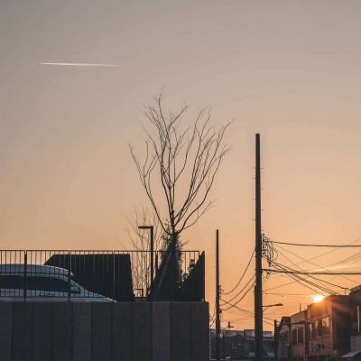 ManBetX客户端登录下载手机版